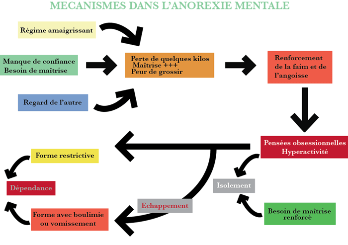 anorexie_mentale tca elise bernard psychologue besançon (1)